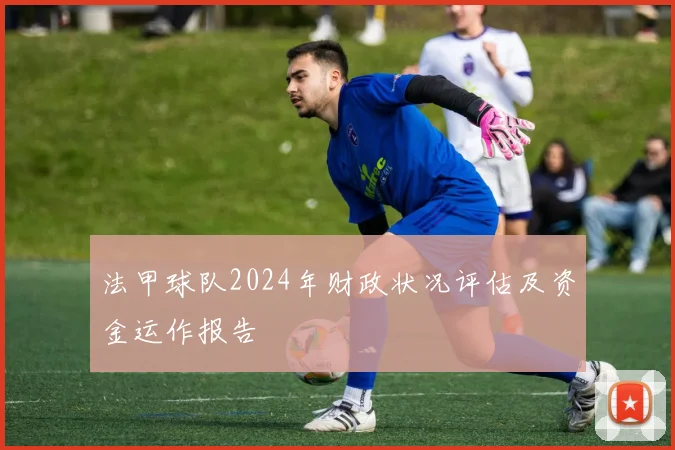法甲球队2024年财政状况评估及资金运作报告
