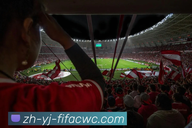 世界杯在线观看服务体系